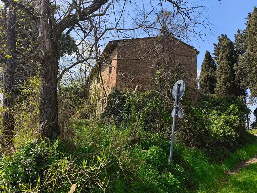 Immagine 9 di Casa colonica in vendita  a Palaia