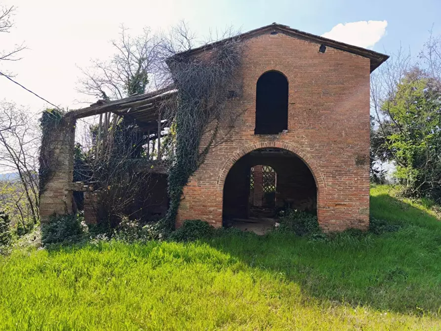 Immagine 3 di Casa colonica in vendita  a Palaia