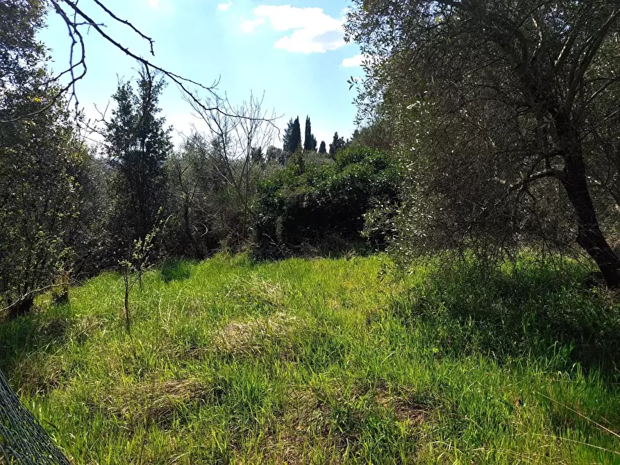 Immagine 21 di Casa colonica in vendita  a Palaia