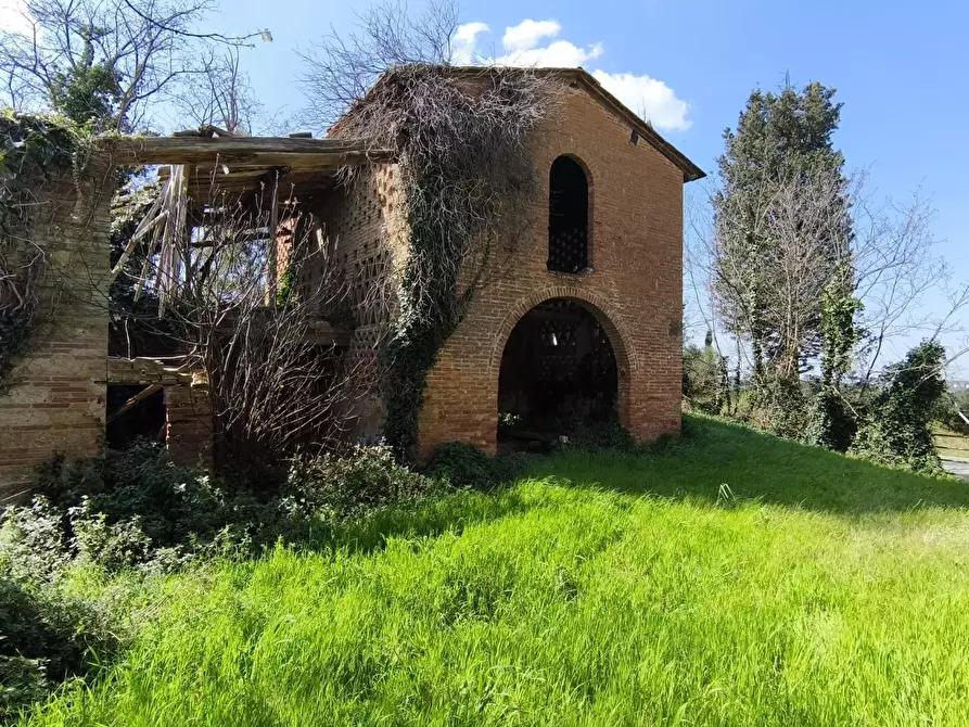 Immagine 12 di Casa colonica in vendita  a Palaia