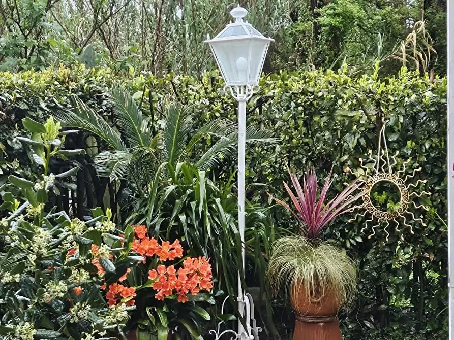 Immagine 26 di Villetta a schiera in affitto  a Forte Dei Marmi