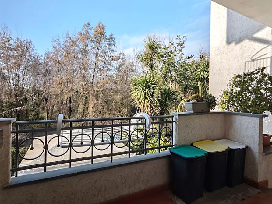 Immagine 7 di Villetta a schiera in affitto  a Forte Dei Marmi