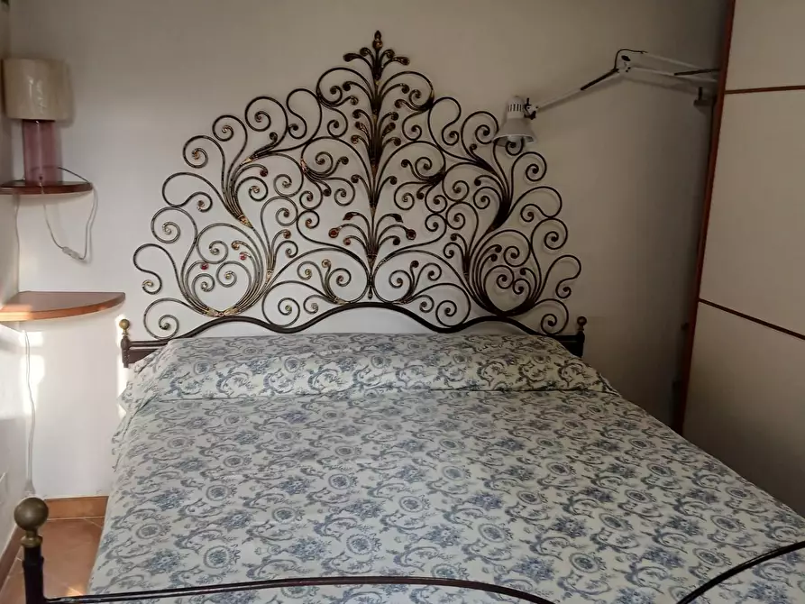 Immagine 21 di Villa in affitto  a Pisa