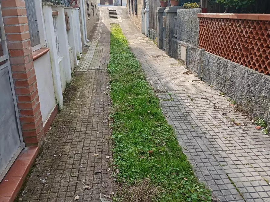 Immagine 12 di Villa in affitto  a Pisa