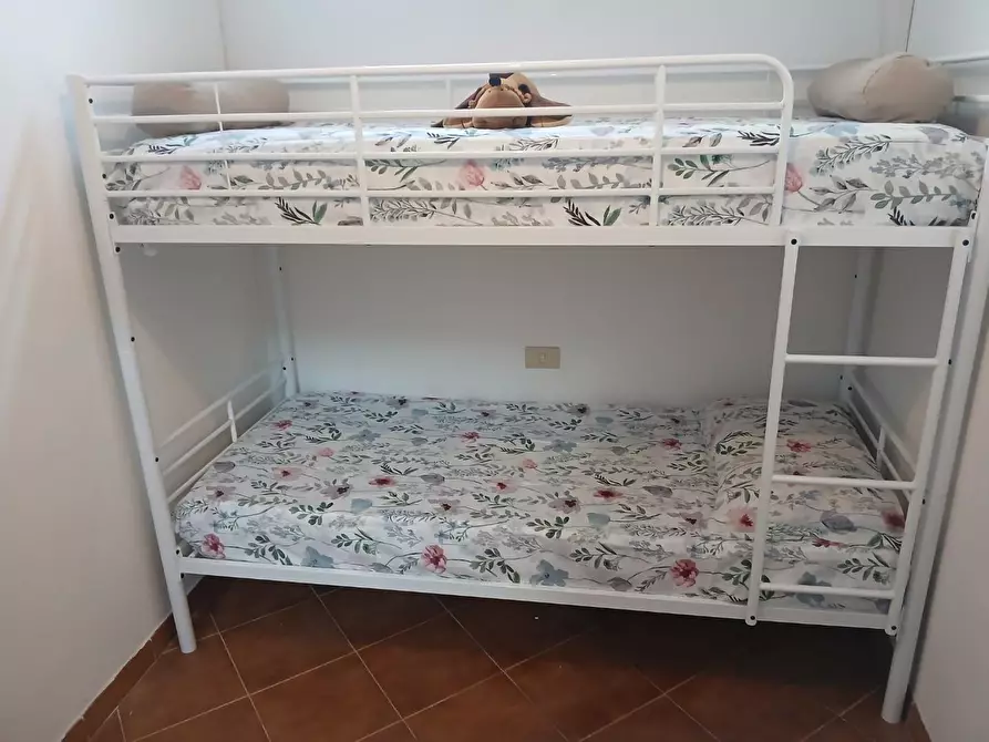 Immagine 17 di Villa in affitto  a Pisa