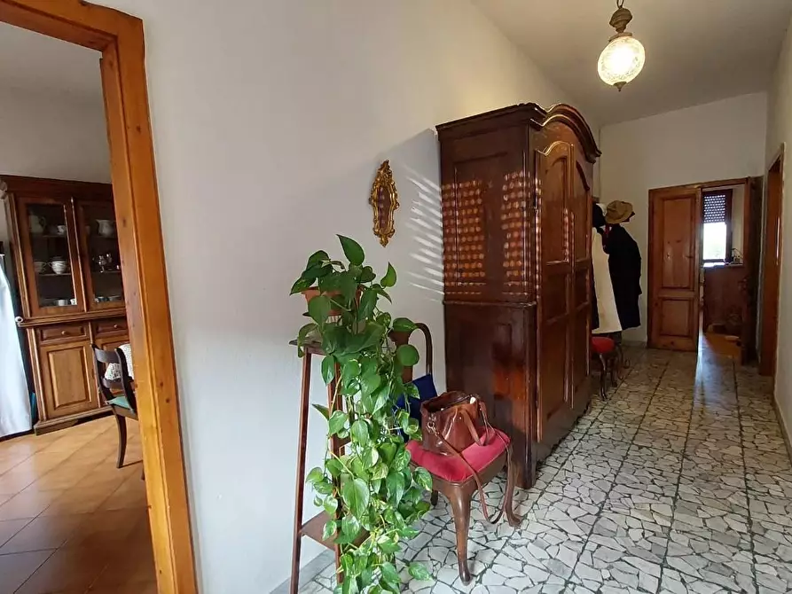 Immagine 7 di Terratetto in vendita  a Buti