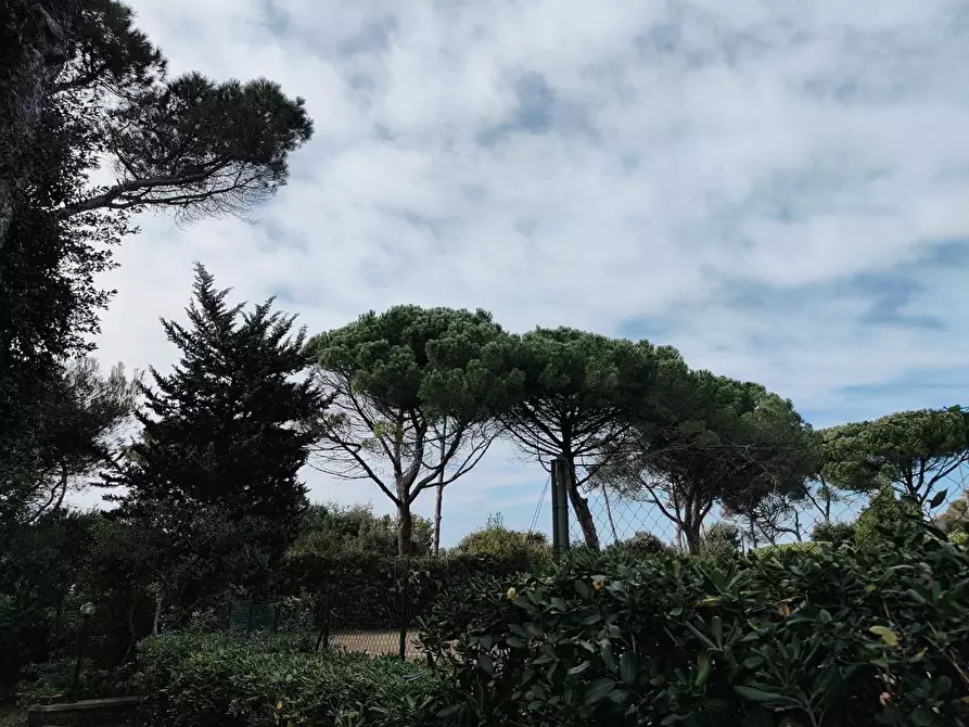 Immagine 48 di Mansarda in vendita  a Rosignano Marittimo