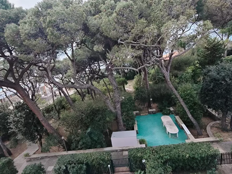 Immagine 49 di Mansarda in vendita  a Rosignano Marittimo