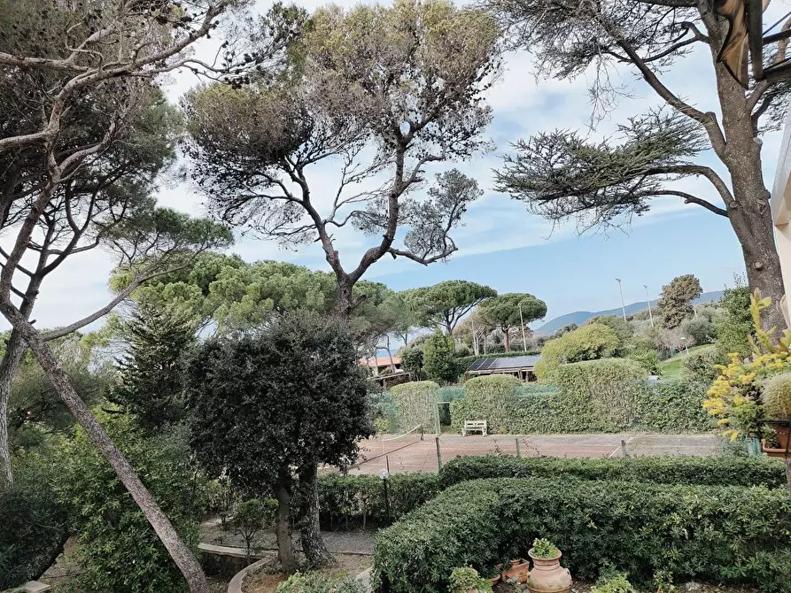 Immagine 51 di Mansarda in vendita  a Rosignano Marittimo