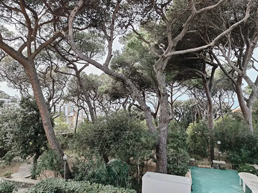 Immagine 50 di Mansarda in vendita  a Rosignano Marittimo