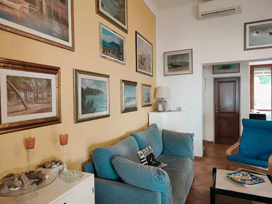 Immagine 21 di Mansarda in vendita  a Rosignano Marittimo