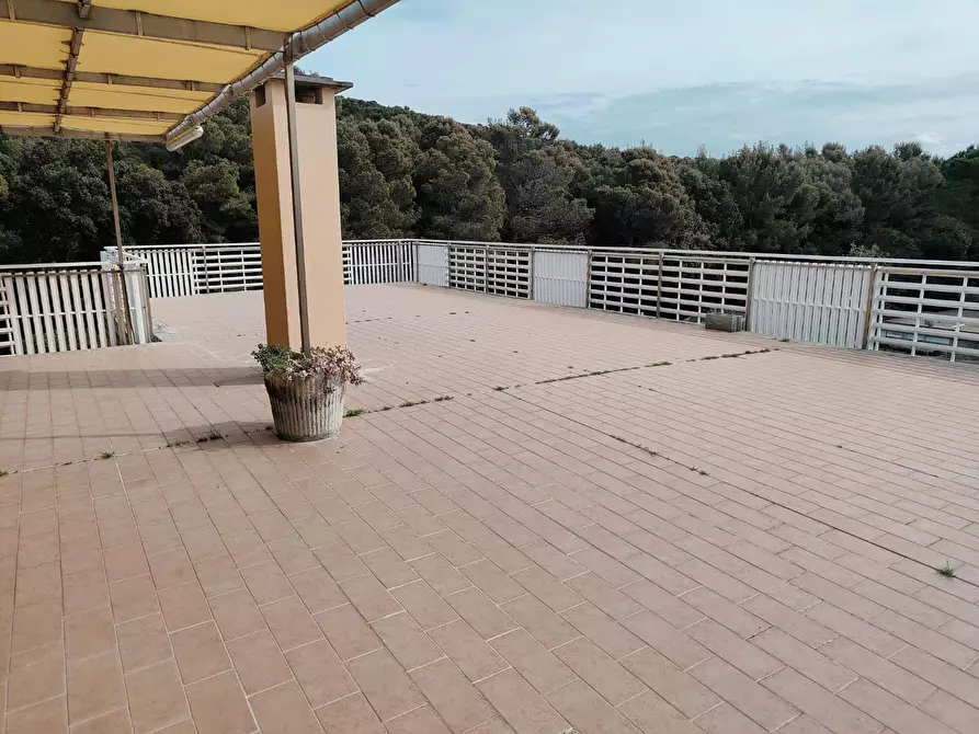 Immagine 11 di Mansarda in vendita  a Rosignano Marittimo