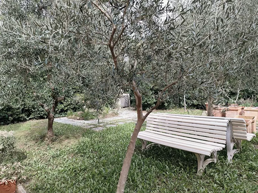 Immagine 36 di Mansarda in vendita  a Rosignano Marittimo