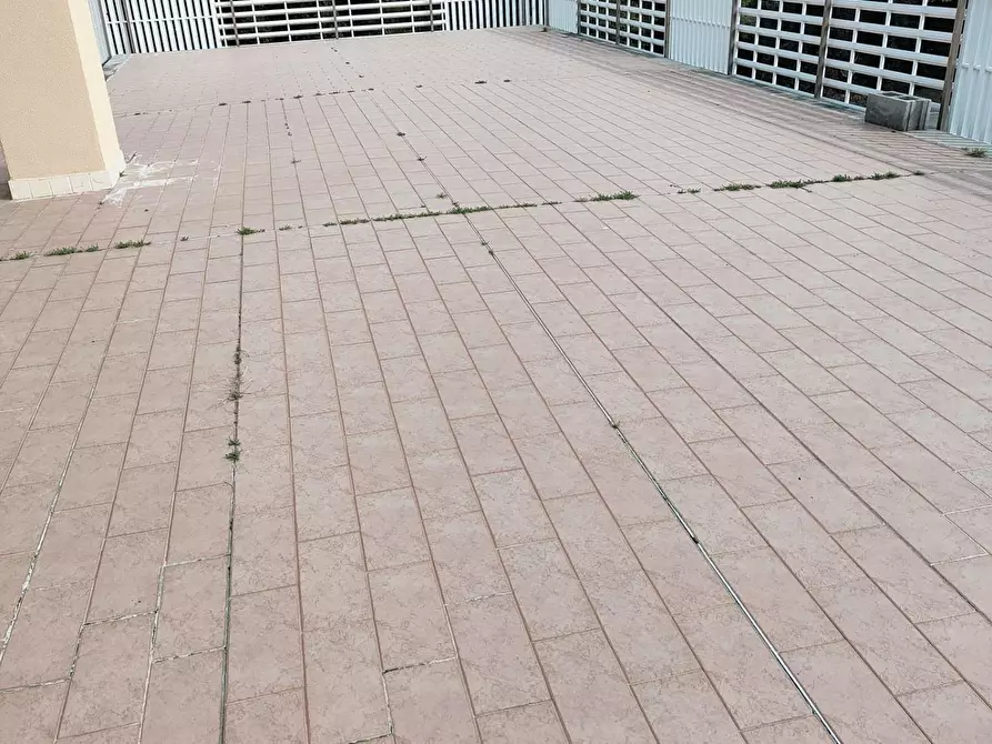 Immagine 16 di Mansarda in vendita  a Rosignano Marittimo