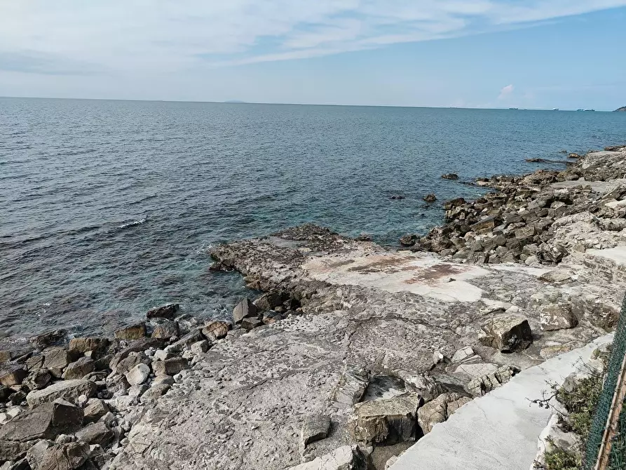 Immagine 56 di Mansarda in vendita  a Rosignano Marittimo