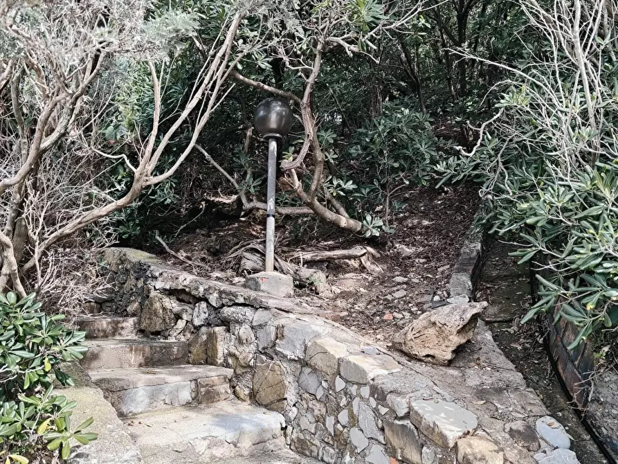 Immagine 54 di Mansarda in vendita  a Rosignano Marittimo