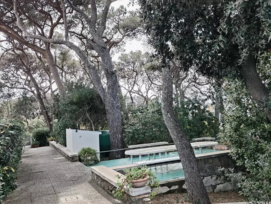 Immagine 47 di Mansarda in vendita  a Rosignano Marittimo