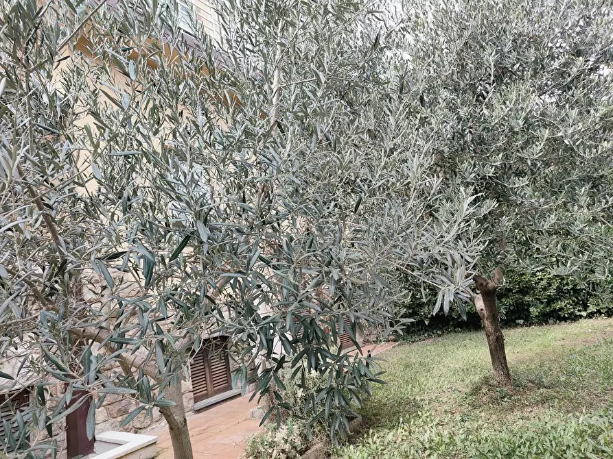 Immagine 35 di Mansarda in vendita  a Rosignano Marittimo