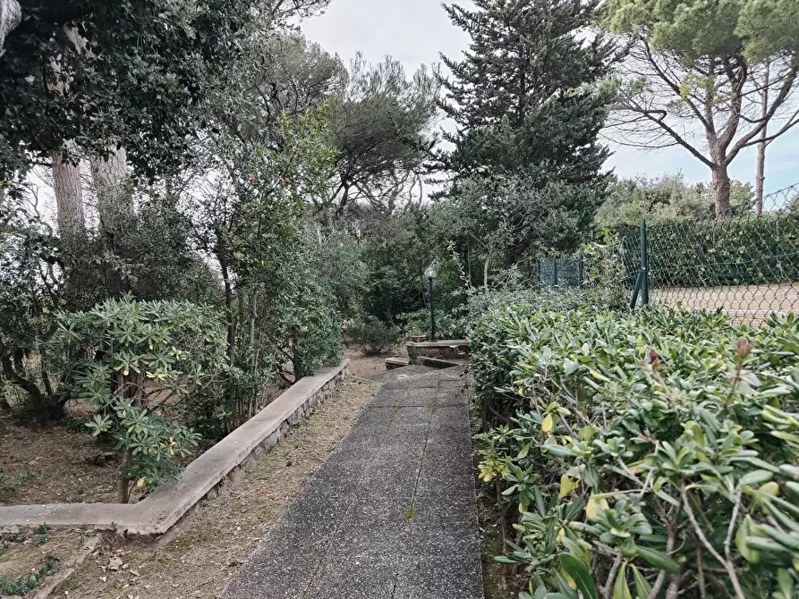 Immagine 53 di Mansarda in vendita  a Rosignano Marittimo