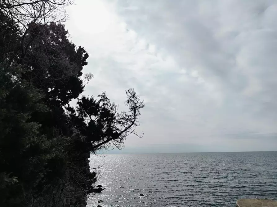 Immagine 4 di Mansarda in vendita  a Rosignano Marittimo