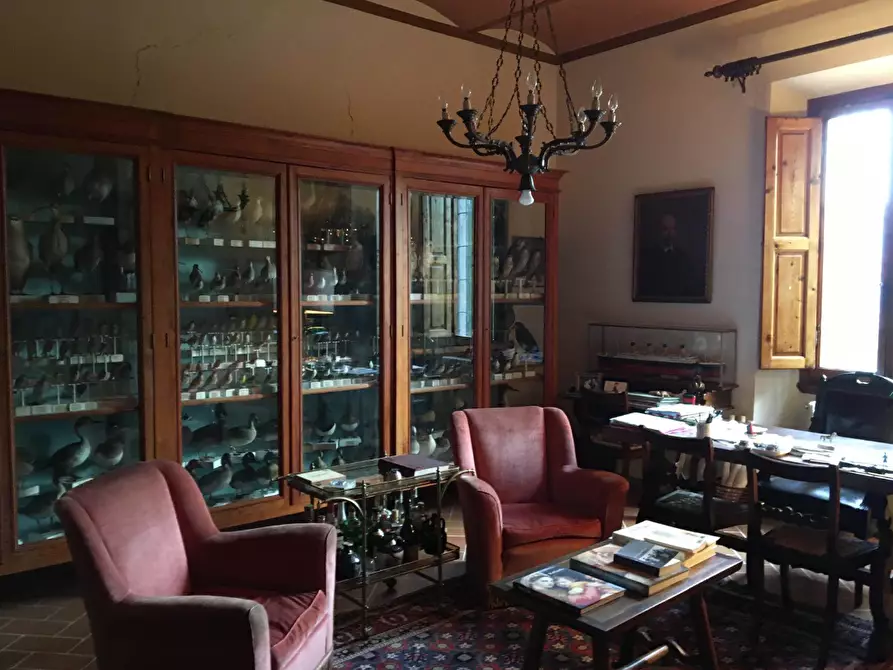 Immagine 4 di Villa in vendita  a Vicchio