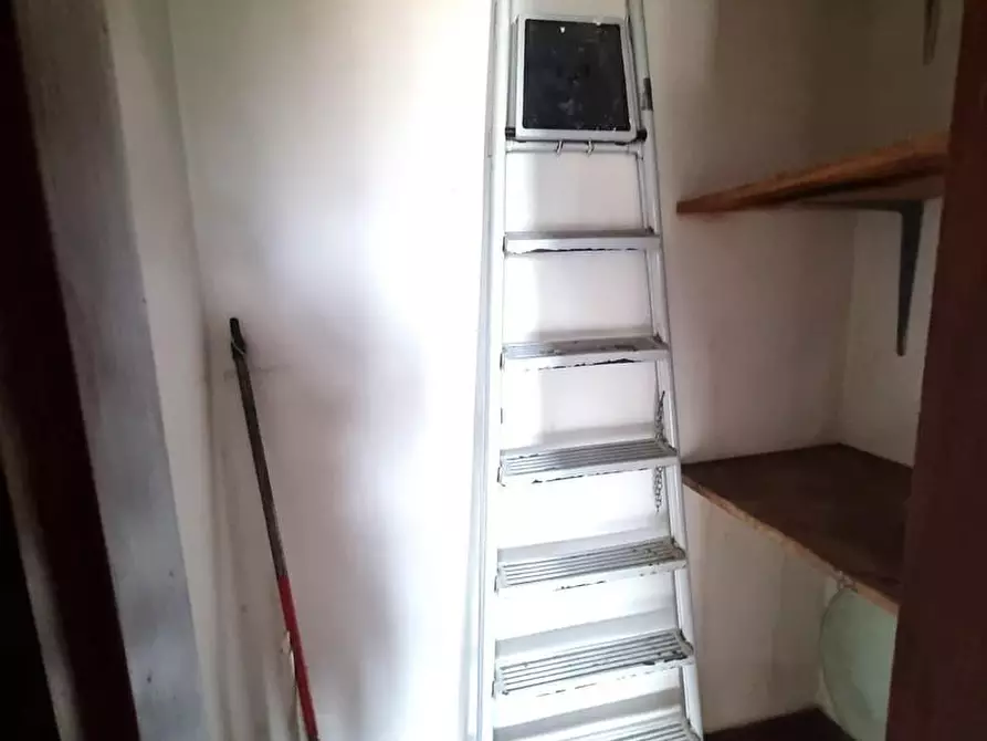 Immagine 23 di Appartamento in vendita  a Viareggio