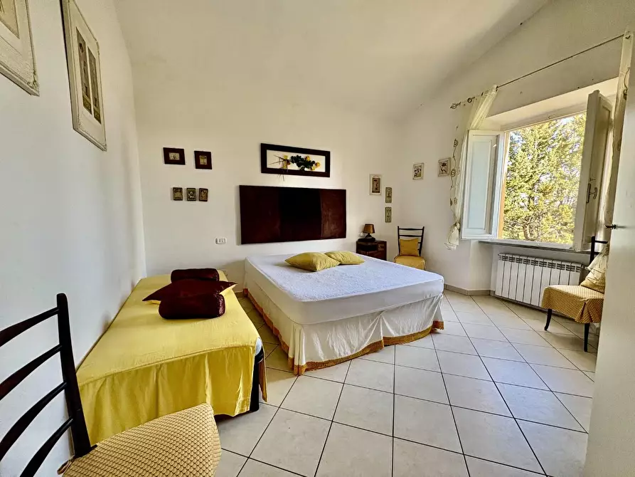 Immagine 41 di Casa colonica in vendita  a Volterra