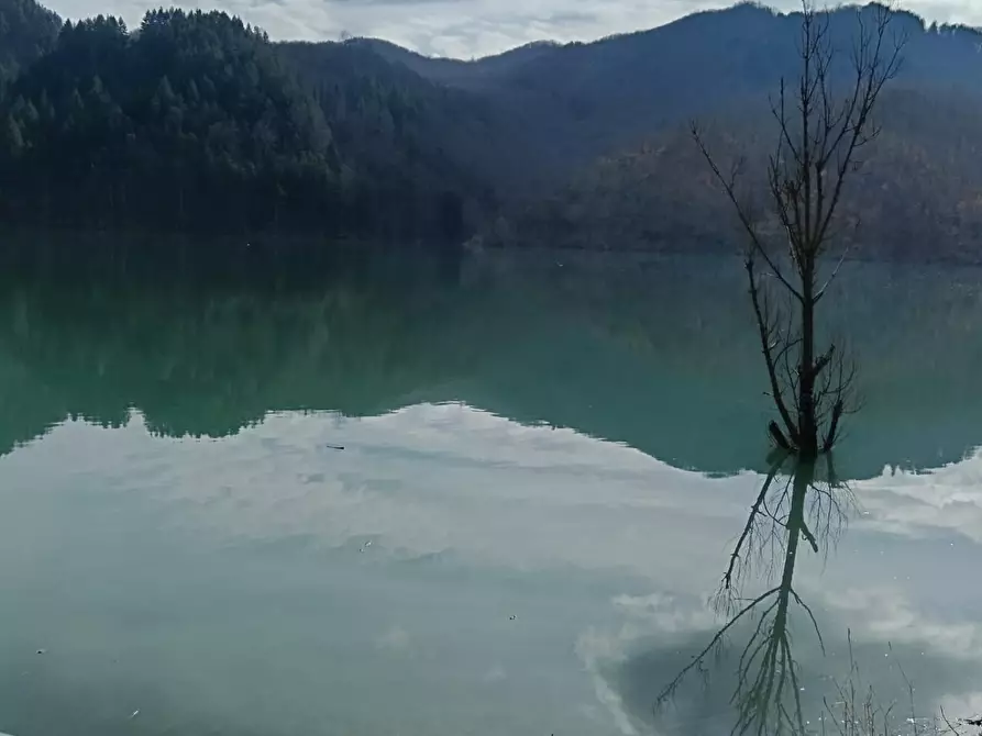 Immagine 58 di Terratetto in vendita  a Minucciano