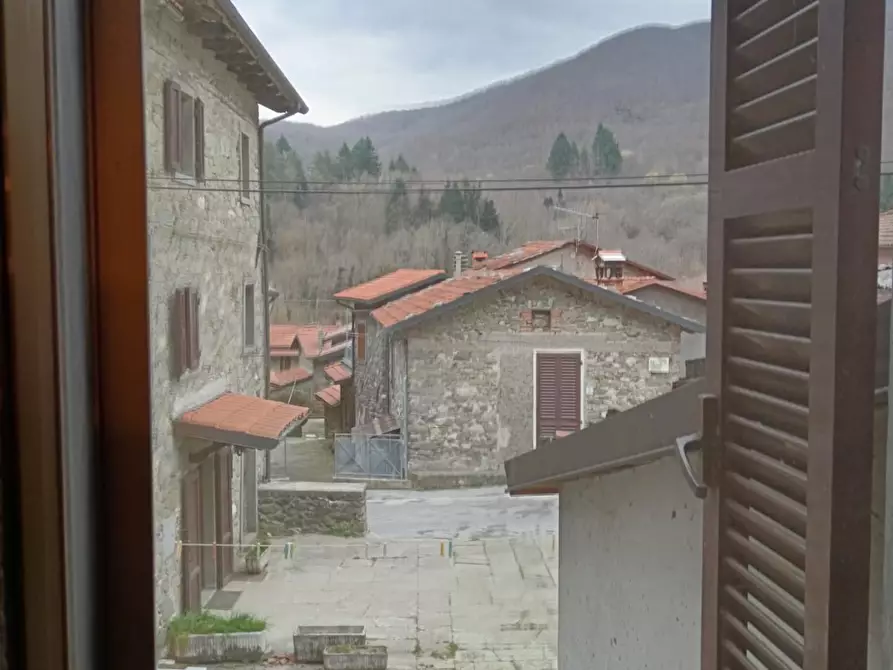 Immagine 43 di Terratetto in vendita  a Minucciano