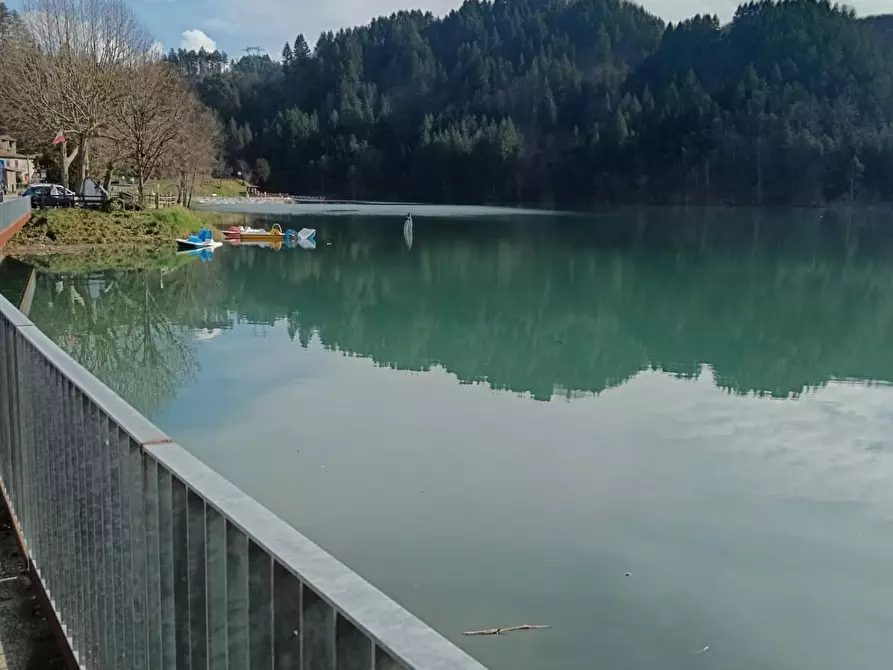 Immagine 54 di Terratetto in vendita  a Minucciano