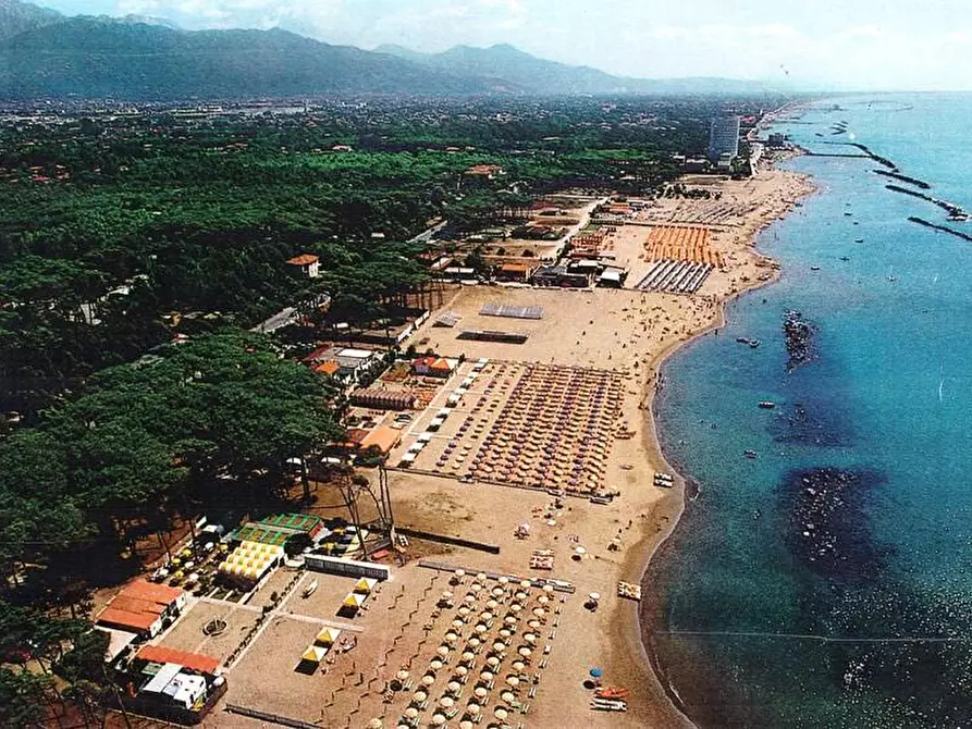 Immagine 18 di Appartamento in vendita  a Massa