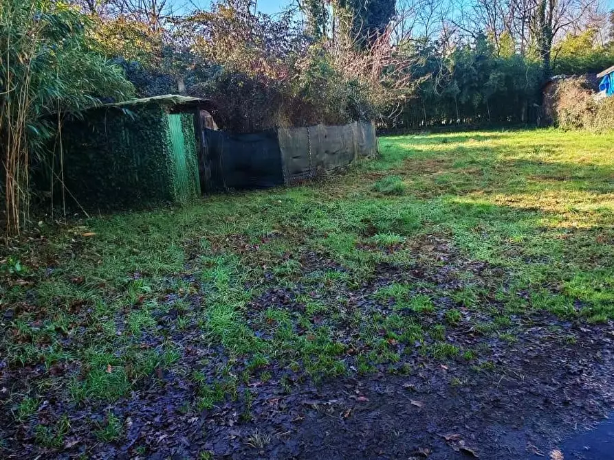 Immagine 3 di Appartamento in vendita  a Massa