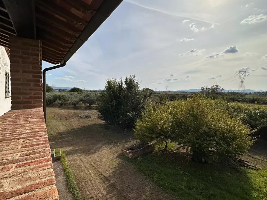 Immagine 23 di Porzione di casa in vendita  a Crespina Lorenzana