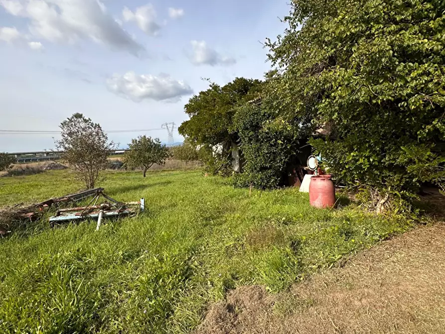 Immagine 22 di Porzione di casa in vendita  a Crespina Lorenzana