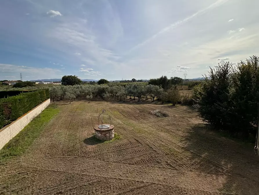 Immagine 25 di Porzione di casa in vendita  a Crespina Lorenzana