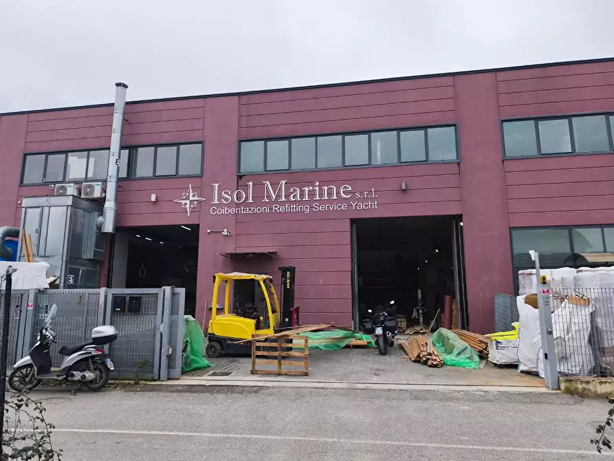 Immagine 2 di Attività artigianale in vendita  a Carrara