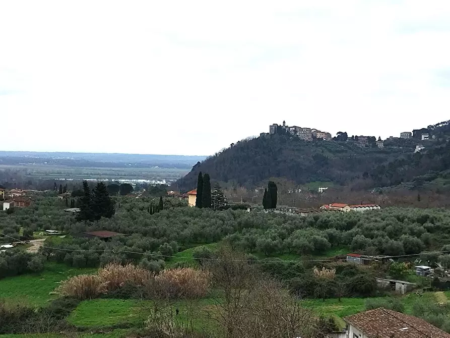 Immagine 1 di Terratetto in vendita  a Capannori