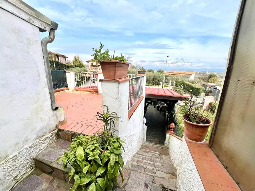 Immagine 6 di Terratetto in vendita  a San Miniato