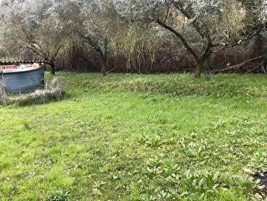 Immagine 11 di Casa indipendente in vendita  a Castelnuovo Magra