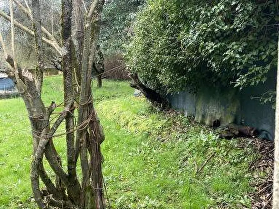 Immagine 14 di Casa indipendente in vendita  a Castelnuovo Magra