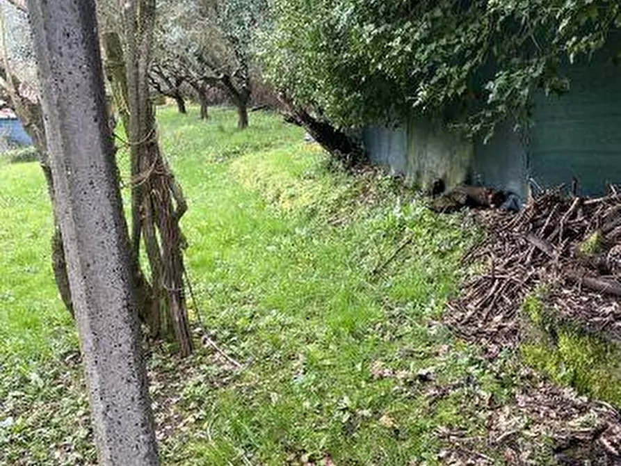 Immagine 13 di Casa indipendente in vendita  a Castelnuovo Magra