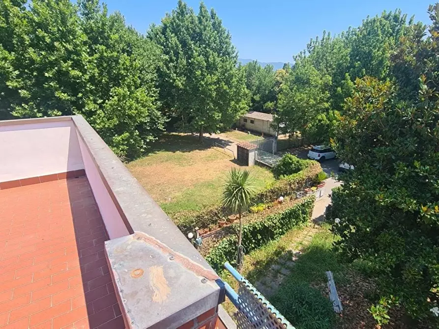 Immagine 2 di Villetta a schiera in vendita  a Pisa