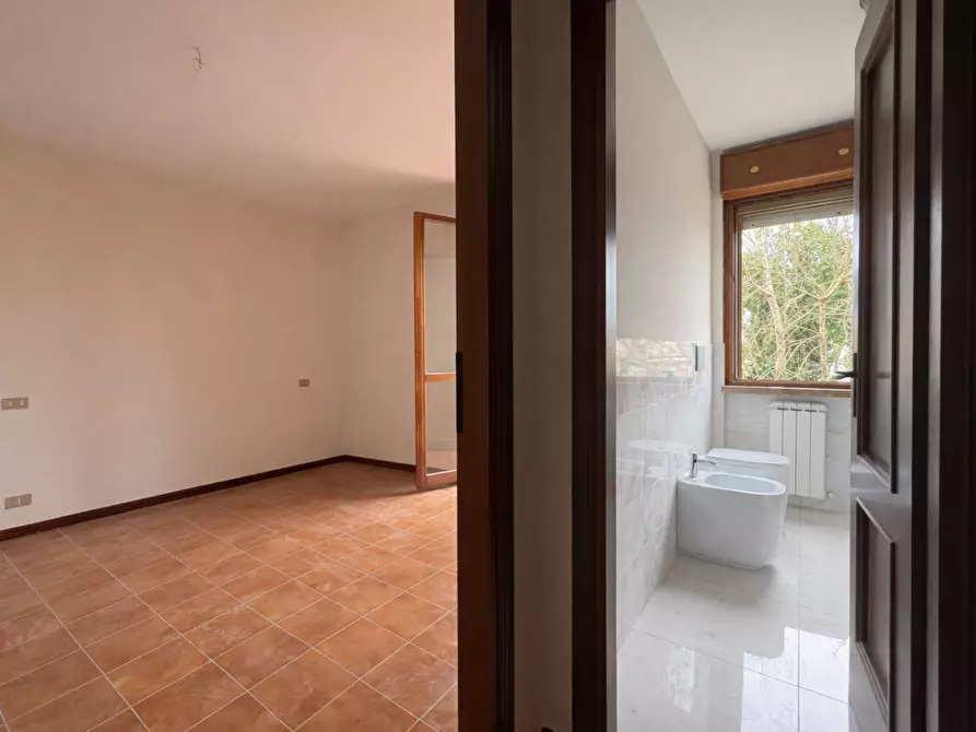 Immagine 12 di Villetta a schiera in vendita  a Pisa