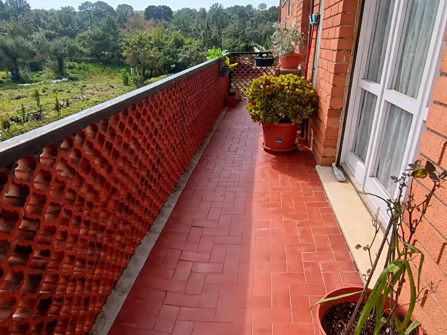 Immagine 16 di Appartamento in vendita  a Massa