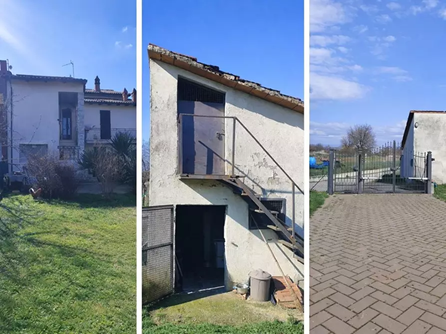 Immagine 3 di Terratetto in vendita  a Torrita Di Siena