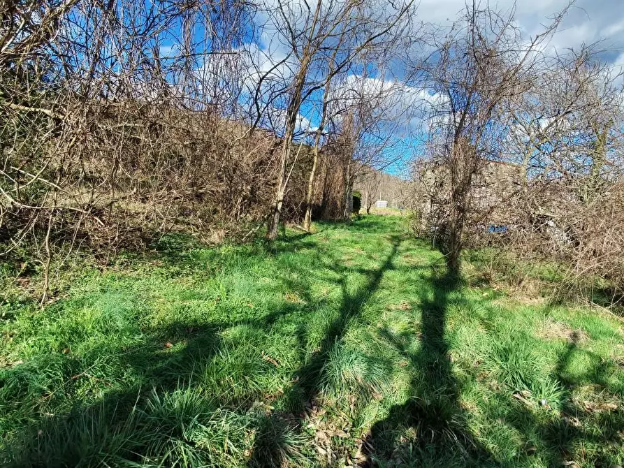Immagine 29 di Terratetto in vendita  a Borgo A Mozzano