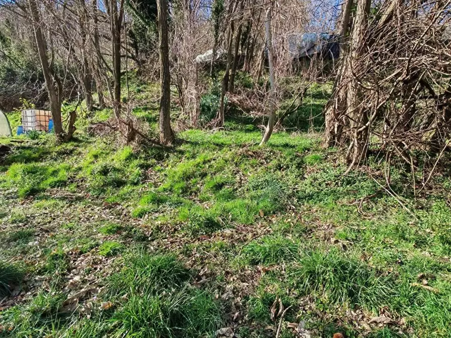 Immagine 28 di Terratetto in vendita  a Borgo A Mozzano
