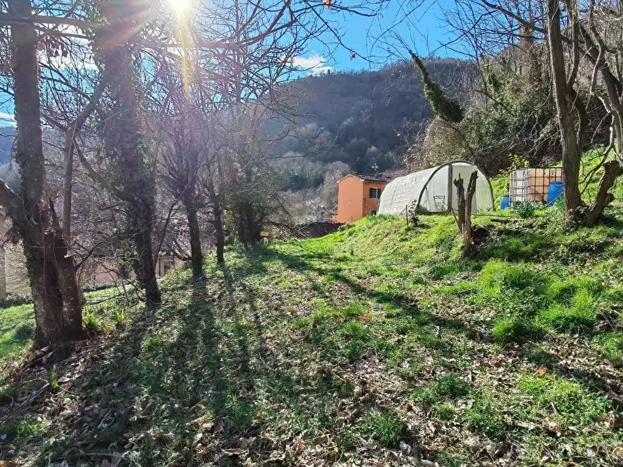Immagine 30 di Terratetto in vendita  a Borgo A Mozzano