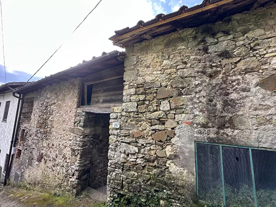 Immagine 24 di Terratetto in vendita  a Borgo A Mozzano