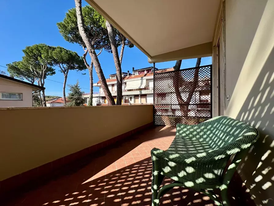 Immagine 6 di Appartamento in vendita  a Massa